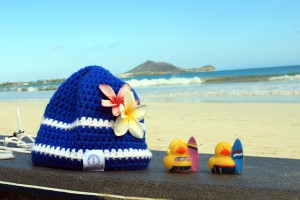 MyBoshi@Hawaii-Beach_4_blog