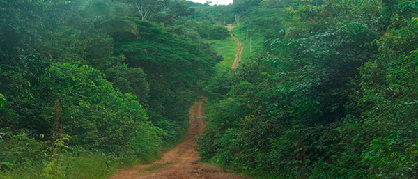 Landscape near Apuí, Amazonas, Brazil