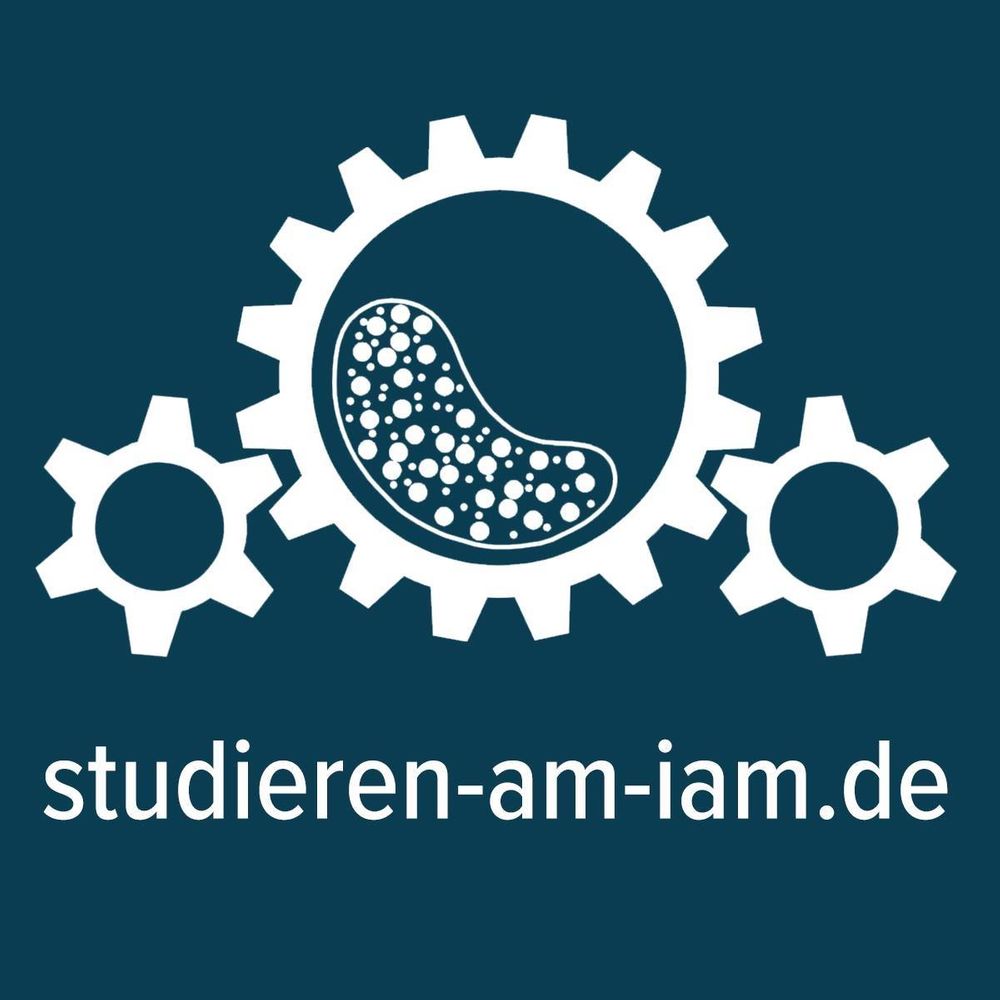 Logo Institut für Aufbereitungsmaschinen (IAM) der TU Bergakademie Freiberg Prof. Holger Lieberwirth