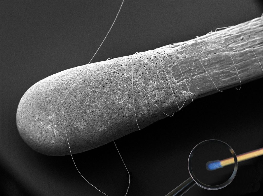 Enlargement of a comparison between a match head and the thinnest steel wire thread used by Haver & Boecker