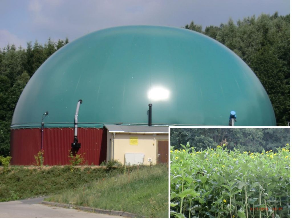 Biogas plant