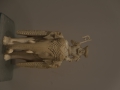DSCF8324