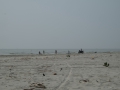 DSCF8414