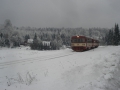 Schöne Winterlandschaft, so kann der Winter weiter gehen.